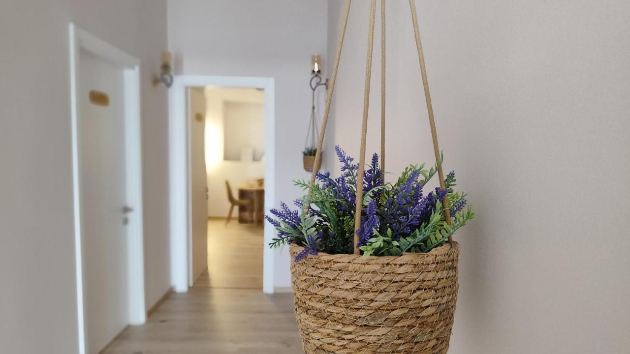 Elvish Garden Boutique B&B Берат Екстер'єр фото